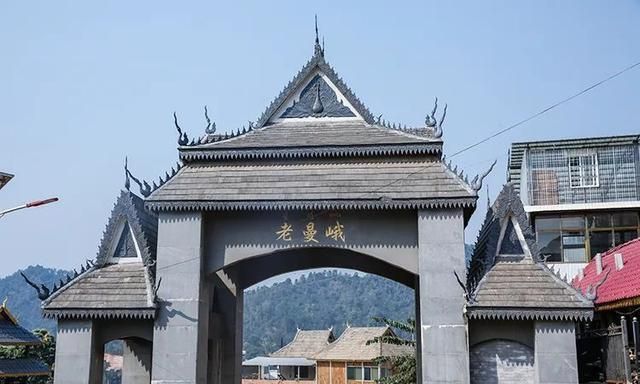 2021年老曼峨古樹秋茶特點？