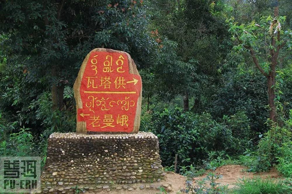 2021年老曼峨古樹秋茶價(jià)格多少？