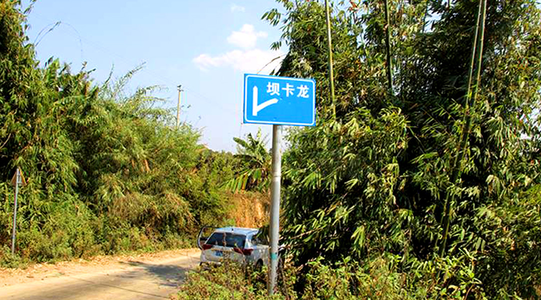 2021班章茶區(qū)壩卡竜古樹(shù)秋茶特點(diǎn)！