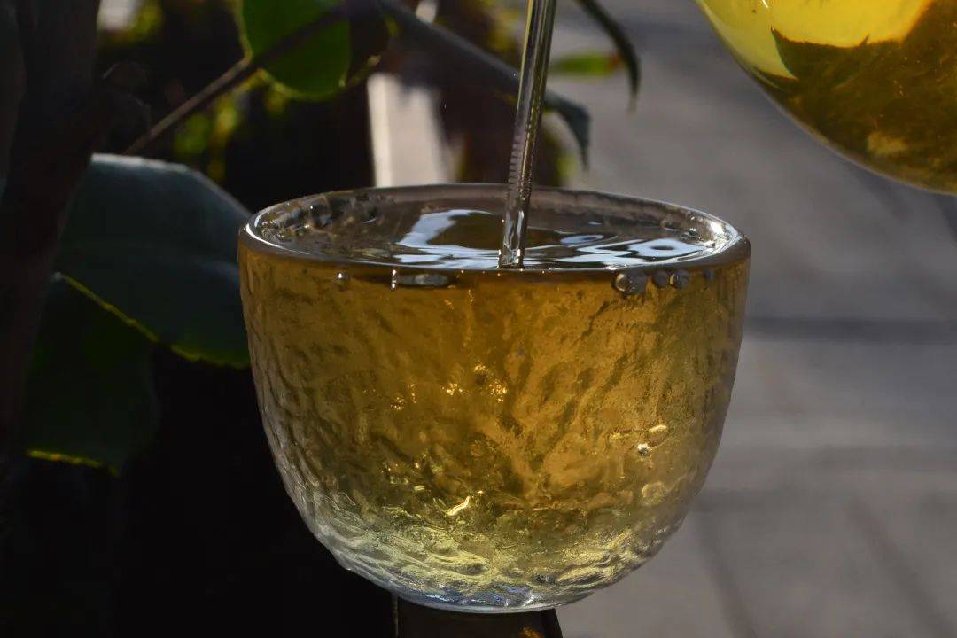 2021班章茶區(qū)壩卡竜古樹秋茶口感是什么？