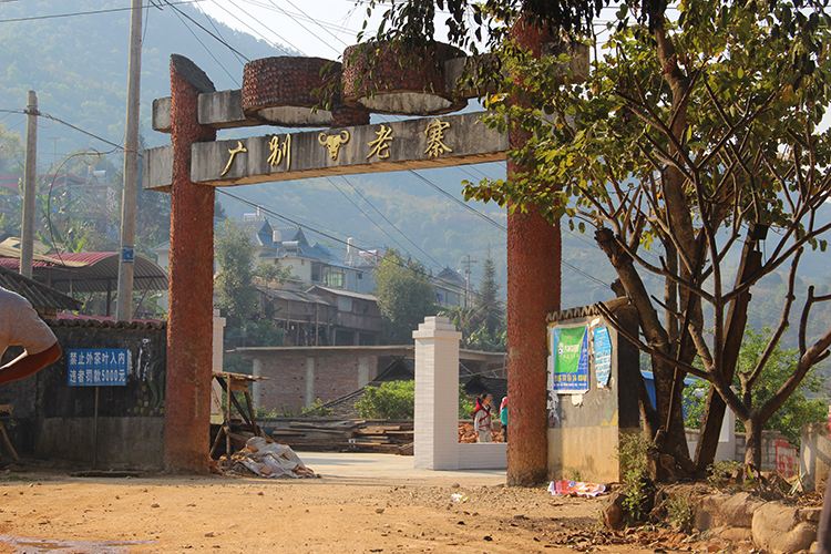 2021年廣別老寨古樹秋茶口感？