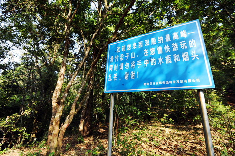 2021年滑竹梁子古樹秋茶價格？