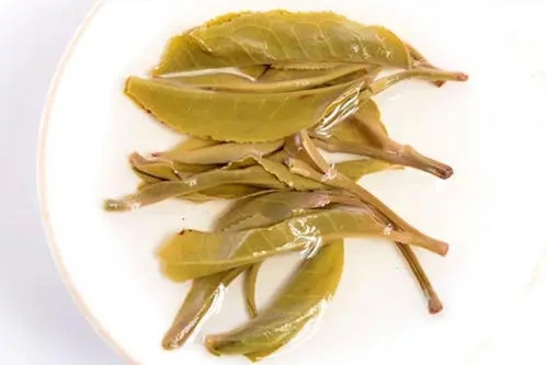 2021年南糯山拔瑪老寨古樹秋茶多少錢一公斤？