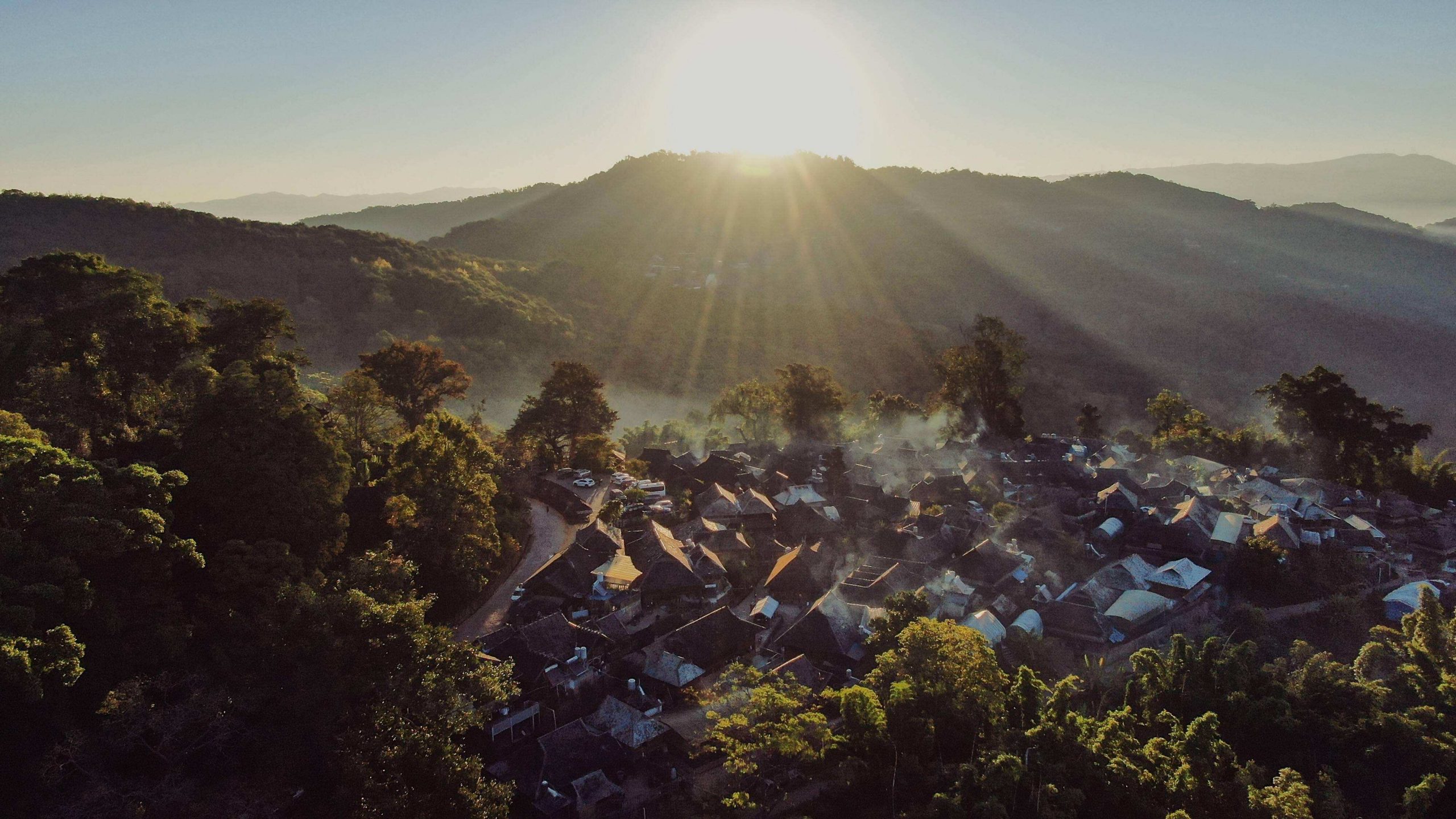 2022年景邁山古樹春茶特點？