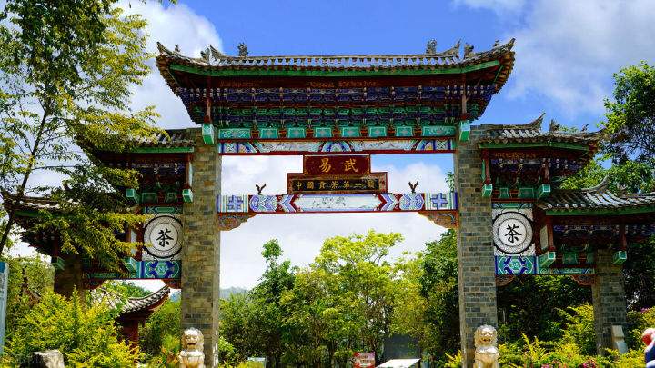 2022年易武正山在哪？易武正山是什么意思？