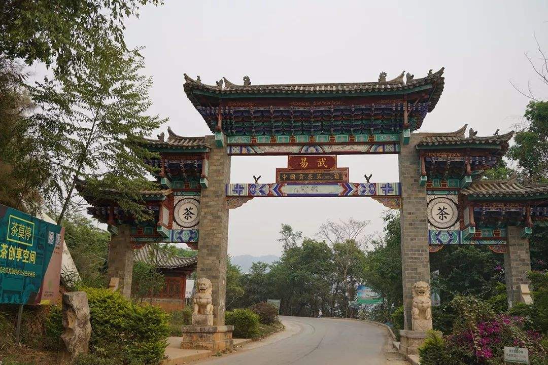 2022年易武正山古樹春茶特點(diǎn)？