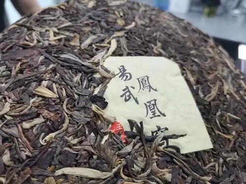 2022年鳳凰窩古樹高桿，鳳凰筑巢的地方