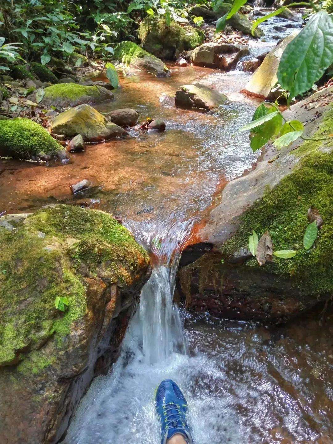 2022年銅箐河古樹春茶多少錢一公斤？