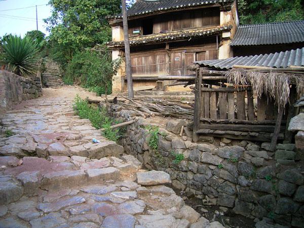 2022年蠻磚古樹春茶特點？