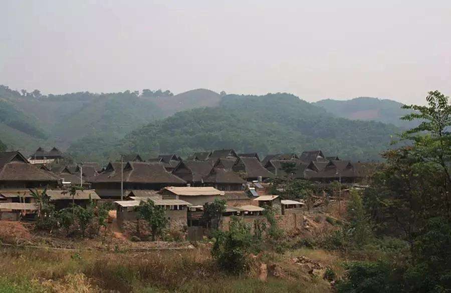 2022年革登古樹春茶特點？