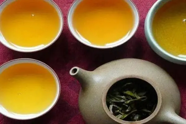 2022年普洱茶怎么泡法才正確？