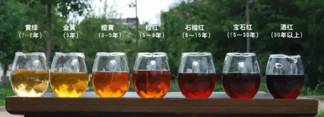 2022年普洱茶的茶湯湯色要怎么描述？