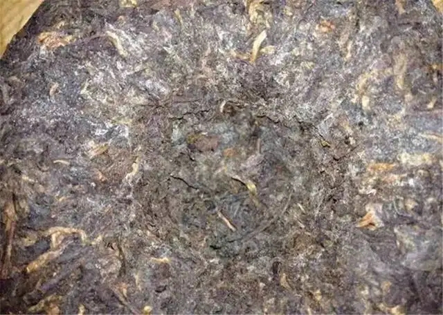 2022年普洱茶受潮發(fā)霉了怎么辦？