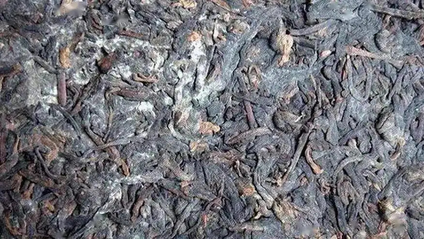 普洱茶怎么樣才算發(fā)霉？