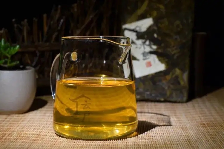 有茶油的普洱茶正常嗎？茶油是如何形成的？