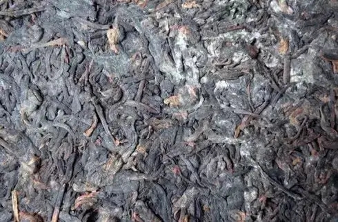 普洱茶泡了之后有霉味怎么辦？