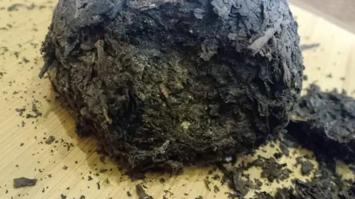 普洱茶蟲(chóng)子怎么辦？