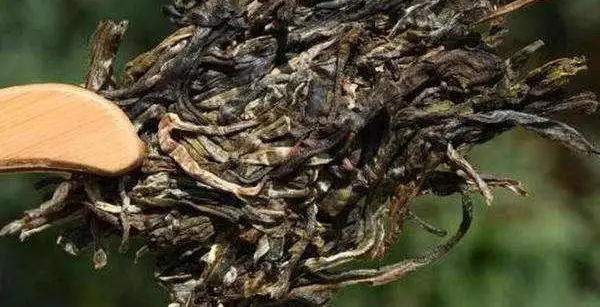 不同普洱茶生產地味道有哪些不同，不同派別的普洱茶味道又如何?