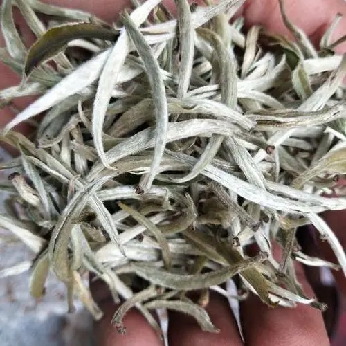 遇見(jiàn)月光白之美，存放四年云南古樹白茶