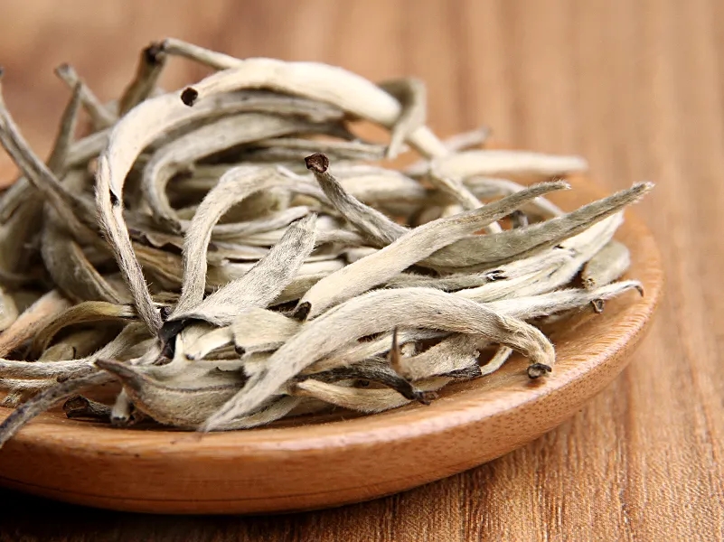 福鼎白茶、安吉白茶、云南月光白“三白”的區(qū)別