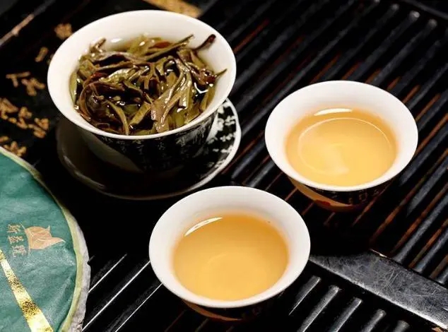 茶會“說話”，讀懂云南古樹普洱茶的秘訣