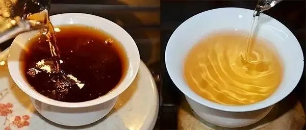 普洱茶湯怎么也會“出油”？