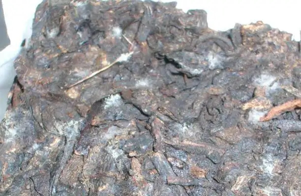 ?普洱茶發(fā)霉了怎么辦？教你妙招應(yīng)對發(fā)霉的普洱茶！