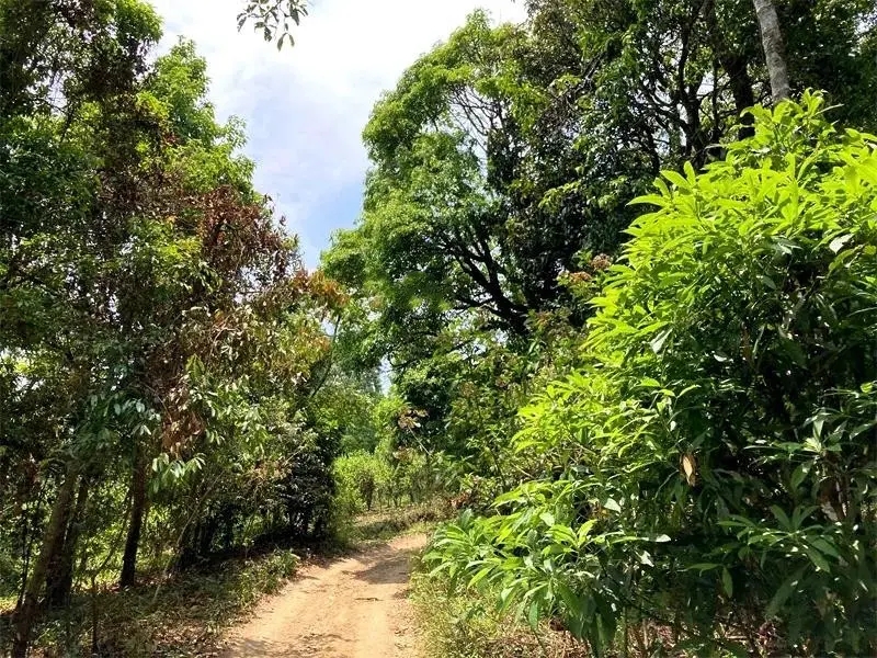 茶山紀(jì)實(shí)：犀牛塘，最近能火是有原因的