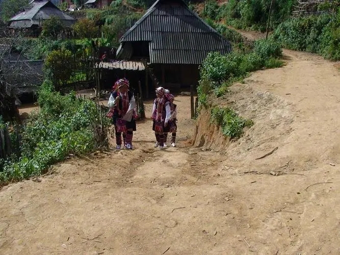 2022年的春天，古樹味道從犀牛塘開始！