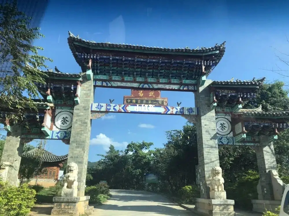 古樹茶年份越老，茶葉就越好嗎？影響茶葉品質(zhì)的因素有哪些？