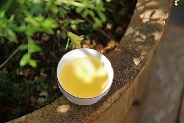 普洱茶越苦澀就代表品質(zhì)越好嗎？