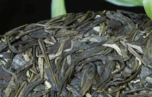 喝普洱茶，一定要喝老茶嗎？