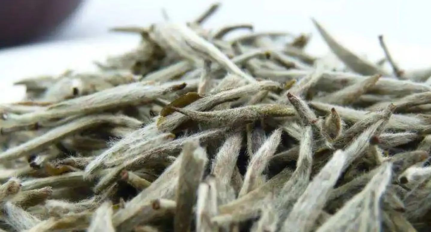 茶毫越多的茶，品質(zhì)就越高嗎？