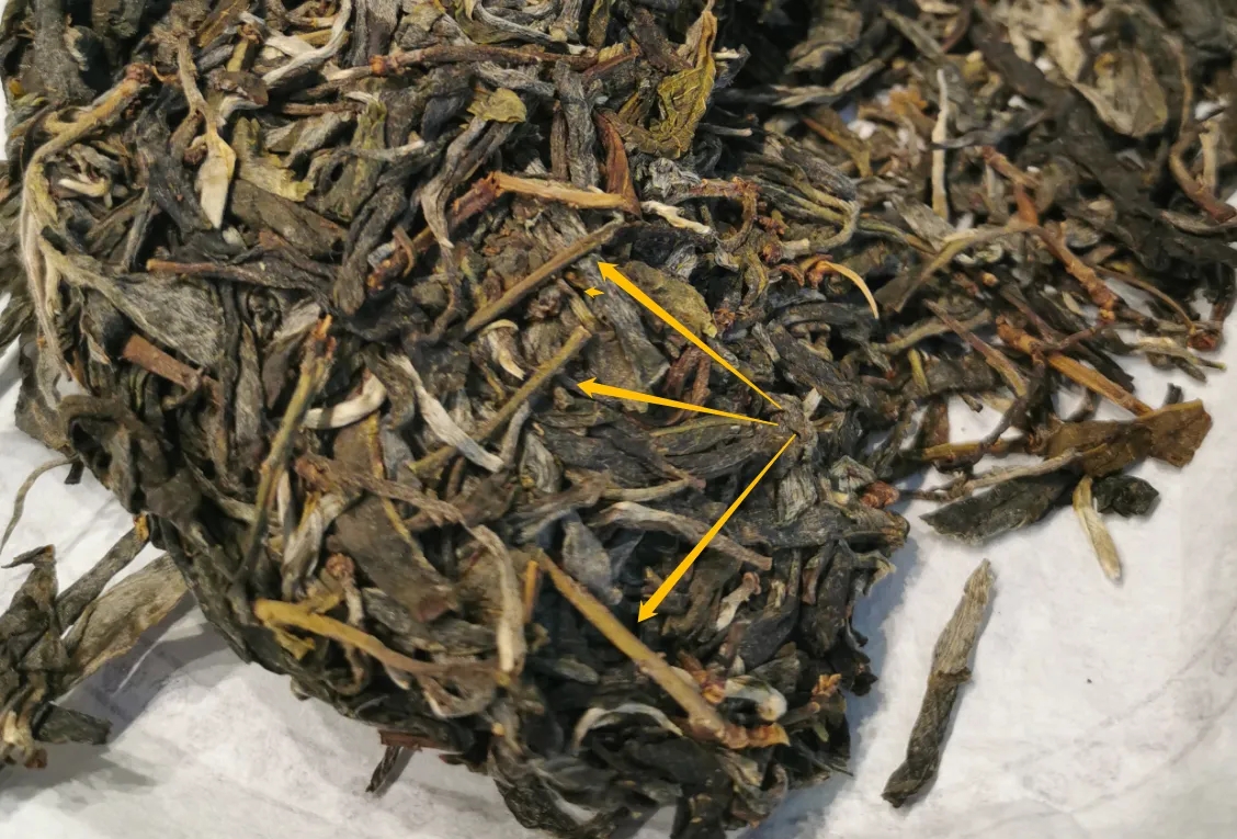普洱茶的葉底有茶梗，就是茶不好嗎？