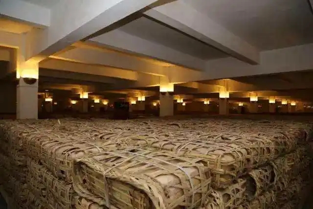 云南古樹普洱茶好在哪？相比小樹茶、臺地茶有何不同？