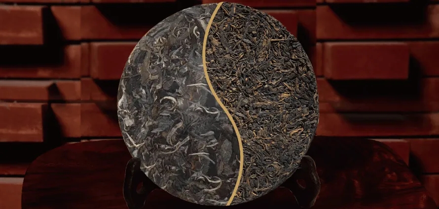 一入普門深似海？入普洱門前，你需要了解這些