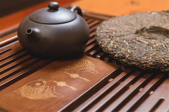 為什么你買不到好的古樹普洱茶？買茶防坑指南，看完就有收獲！