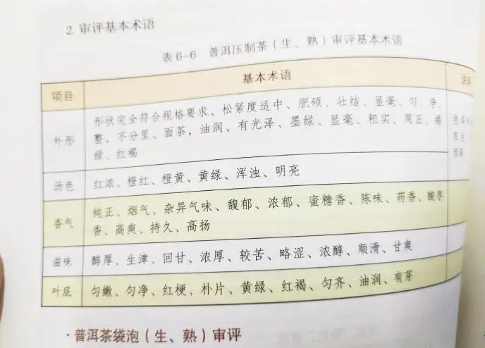 活學(xué)活用 ，一學(xué)就會的普洱茶口感術(shù)語