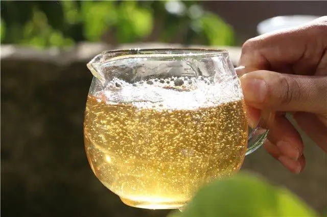 茶顏觀色”，看普洱茶條索里都蘊(yùn)含著怎樣的“密碼”？