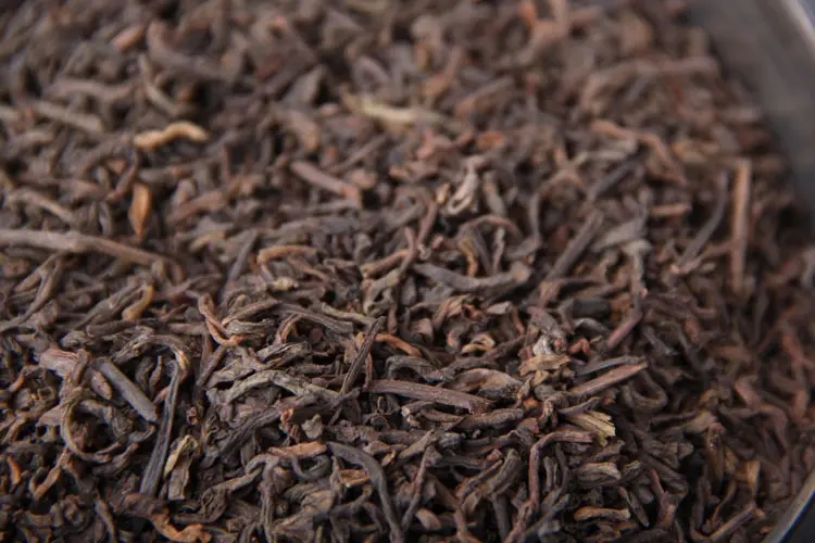 品懂熟茶丨新制的熟茶怎么品評？