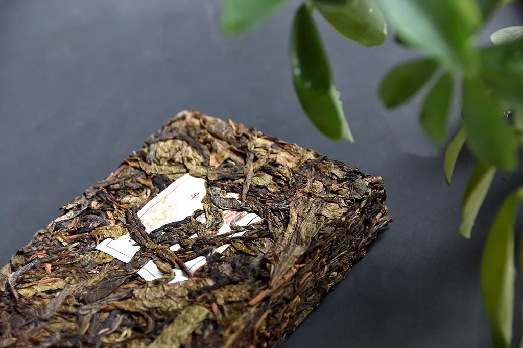 普洱茶古樹黃片，性價比超高的口糧茶，有骨有肉香甜順