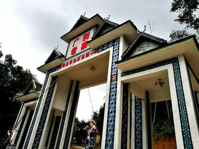 2023年廣別老寨古樹春茶品質(zhì)如何？