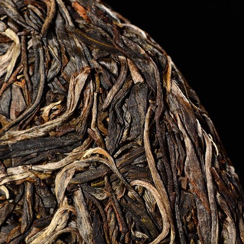 2023年廣別老寨古樹春茶口感怎么樣？