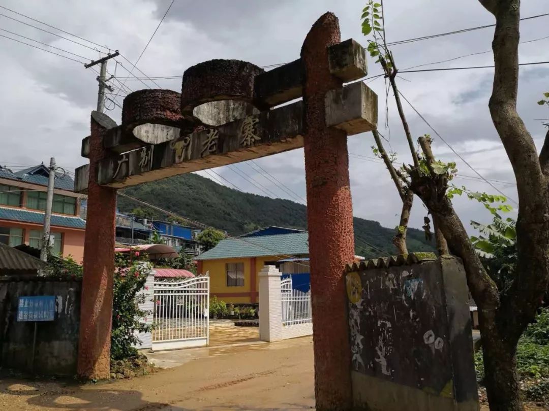 2023年廣別老寨古樹春茶價格多少？