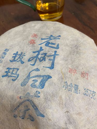 2023年拔瑪老寨古樹春茶口感如何？