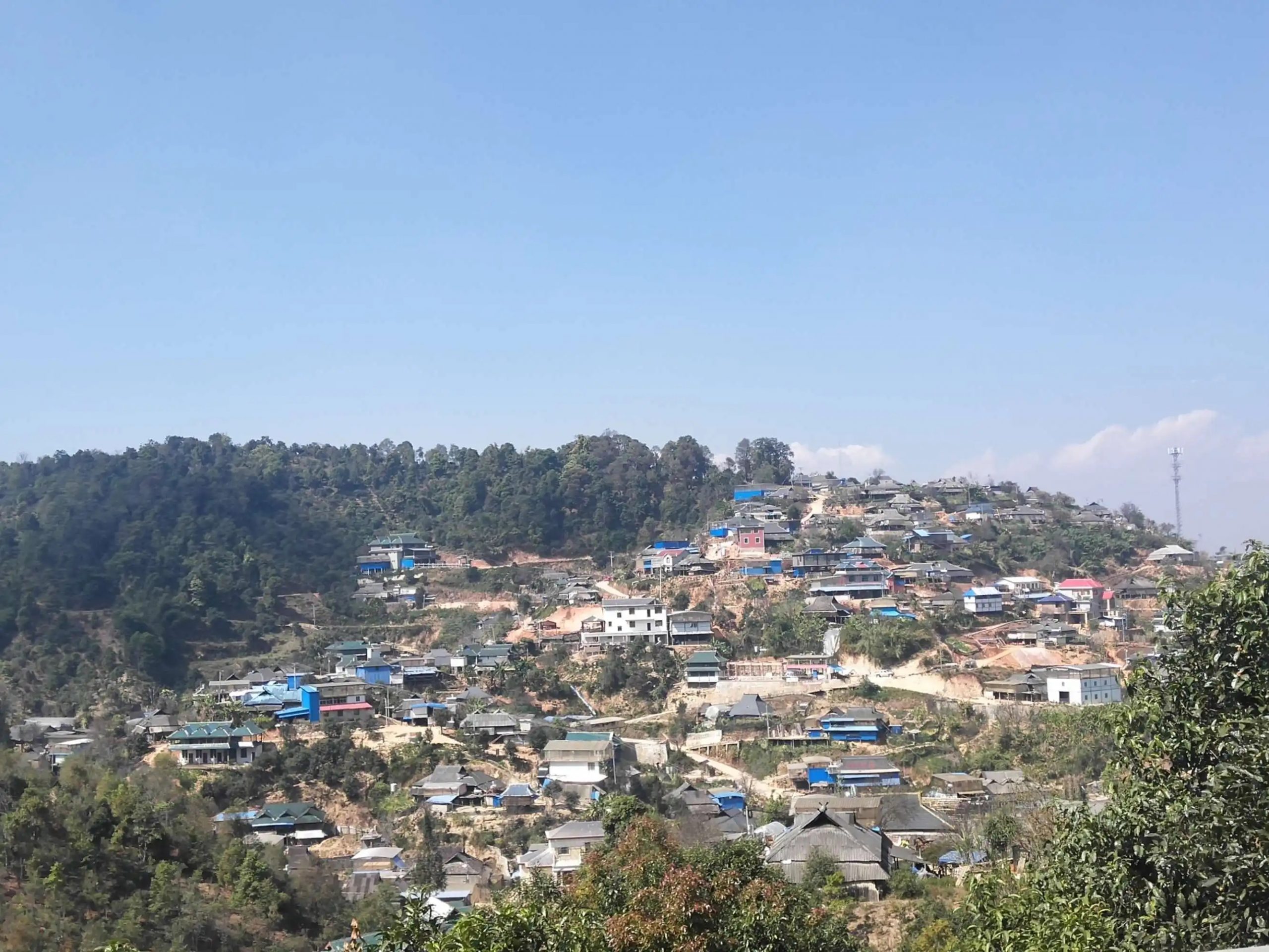 2023年帕沙古樹春茶品質(zhì)如何？