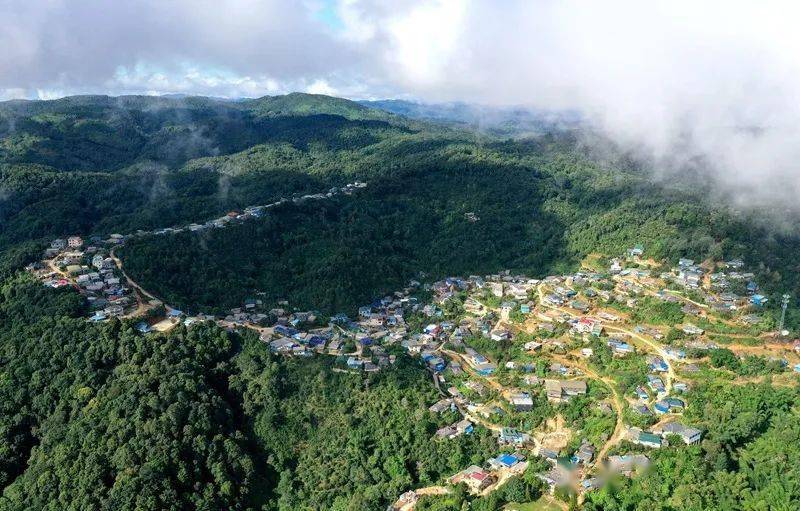 2023年帕沙古樹(shù)春茶口感怎么樣？