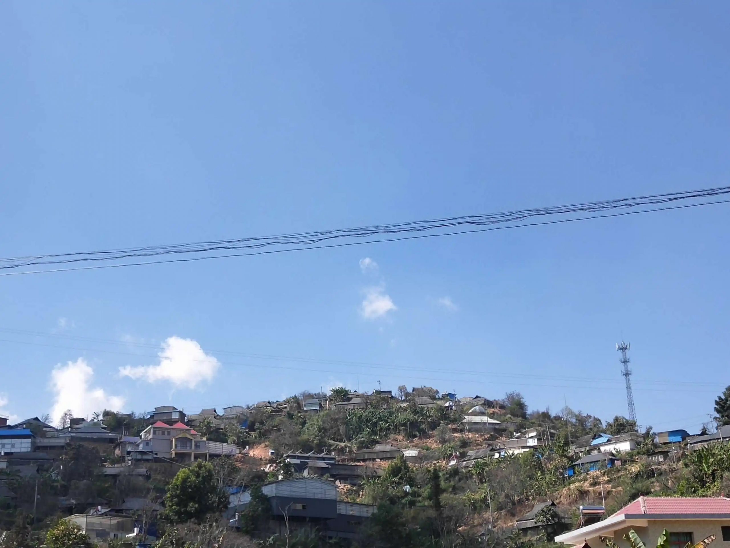 2023帕沙古樹春茶特點(diǎn)是什么？