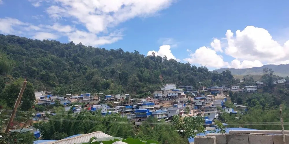 2023年那卡古樹春茶品質(zhì)如何？