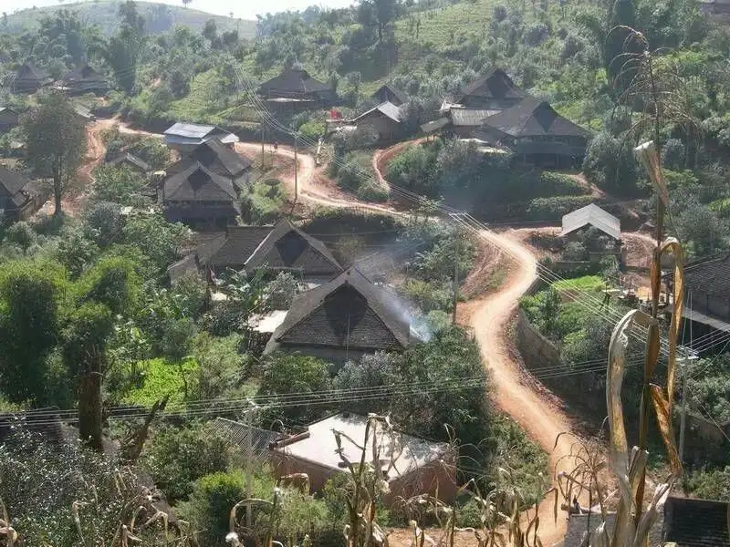 2023年保塘老寨古樹春茶品質(zhì)如何？